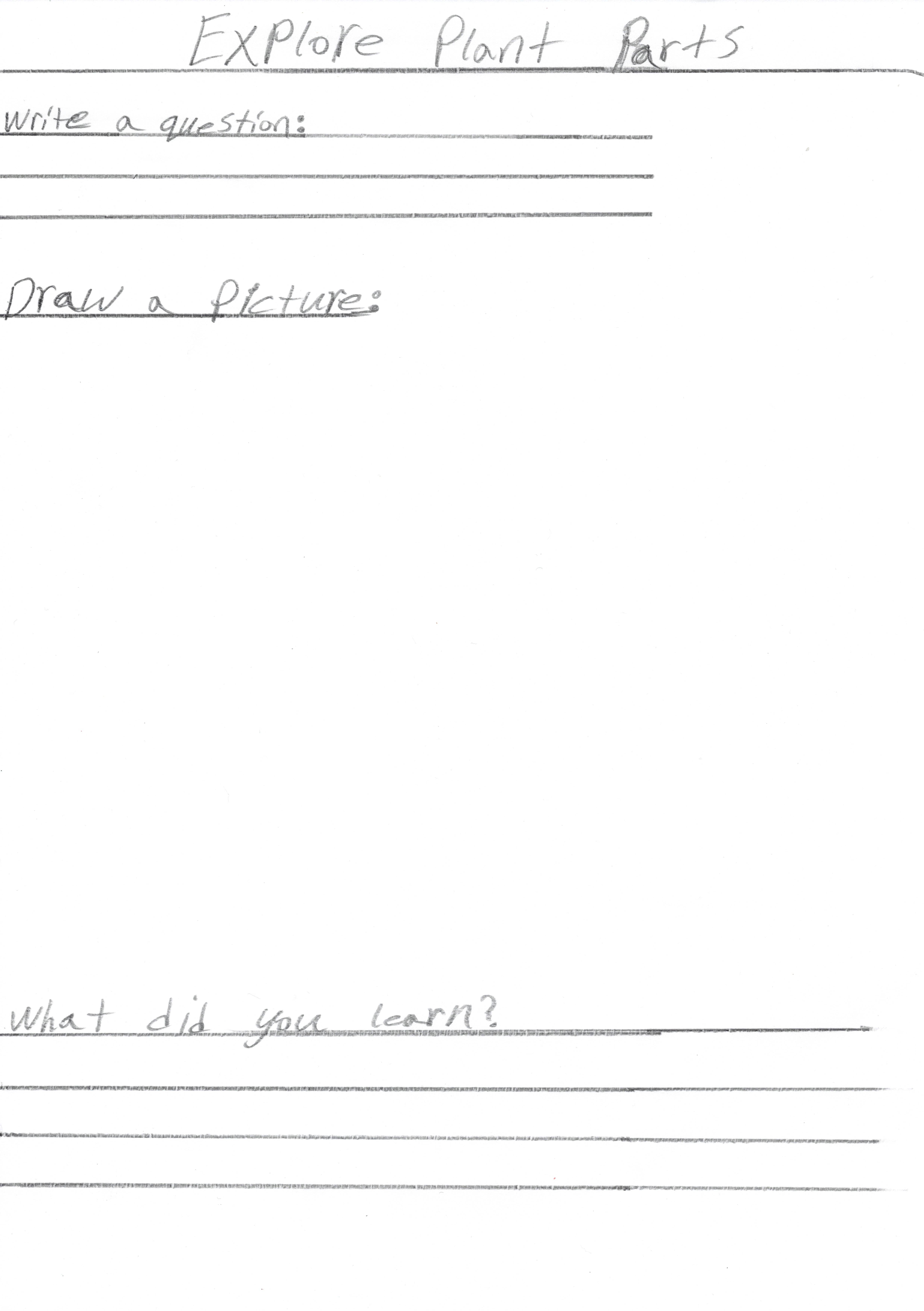 Plant Parts Activity-Start